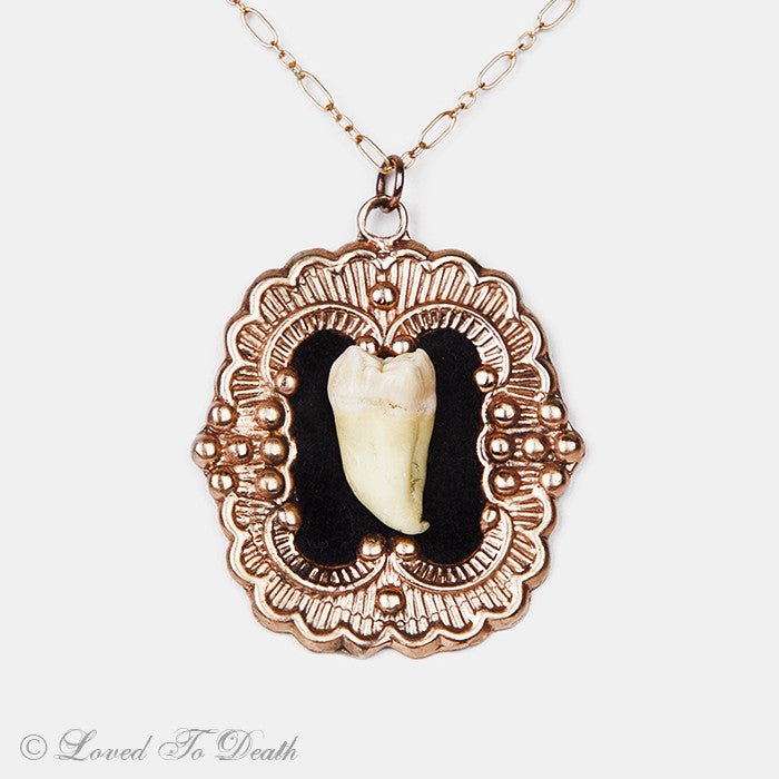 Rose Gold Vermeil Victorian Setting Human Tooth Necklace – Loved
