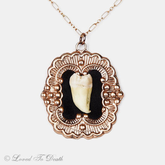 Rose Gold Vermeil Victorian Setting Human Tooth Necklace - Loved To Death