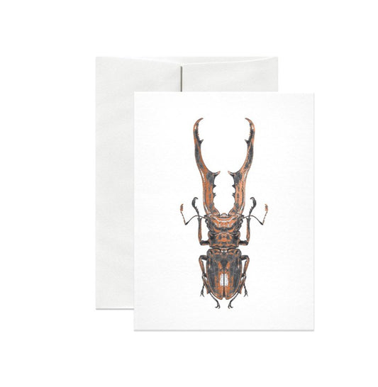 Stag Beetle Copper Foil Gift Card - Loved To Death