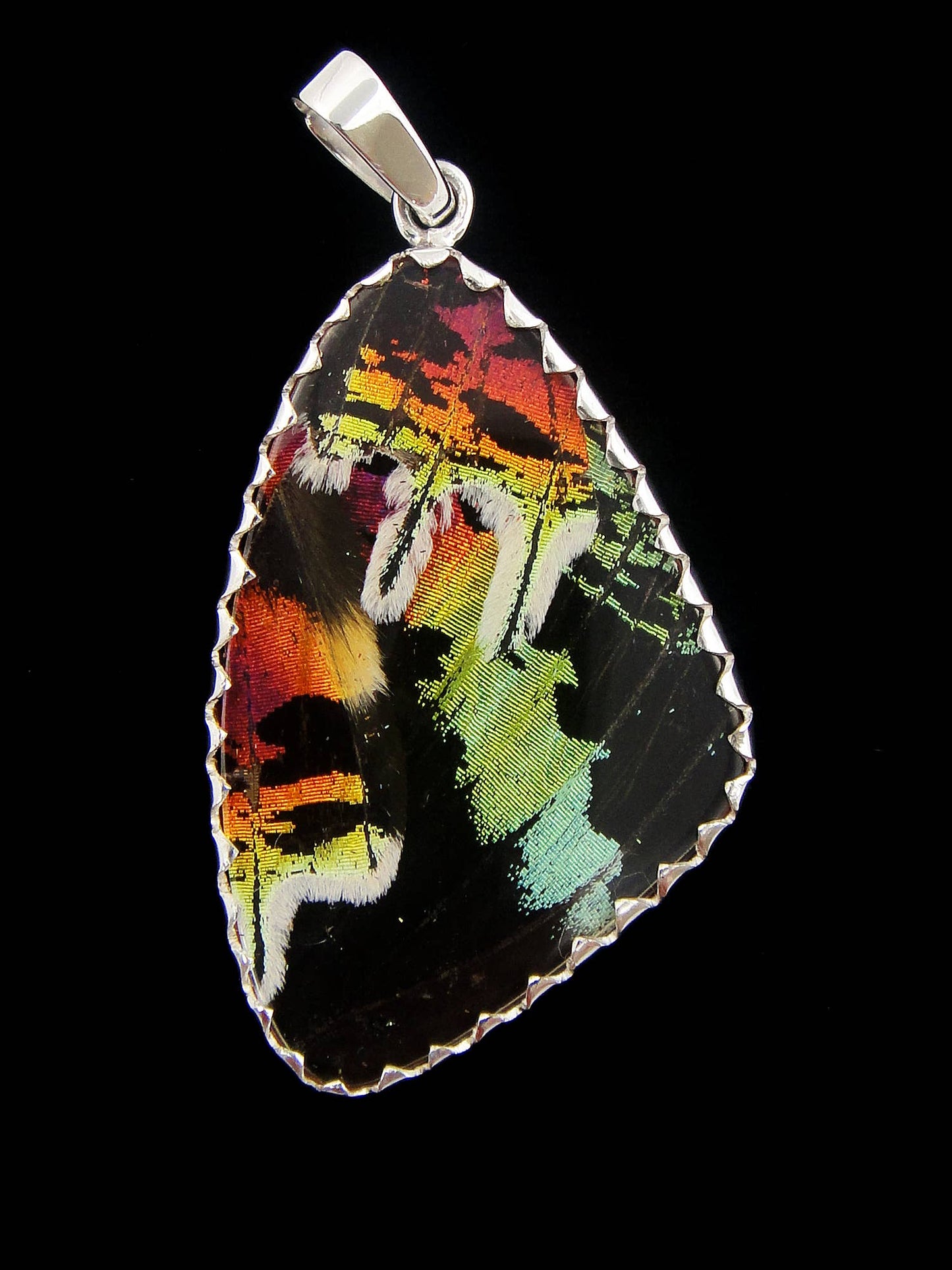 Sunset Moth Medium Butterfly Necklace - Loved To Death