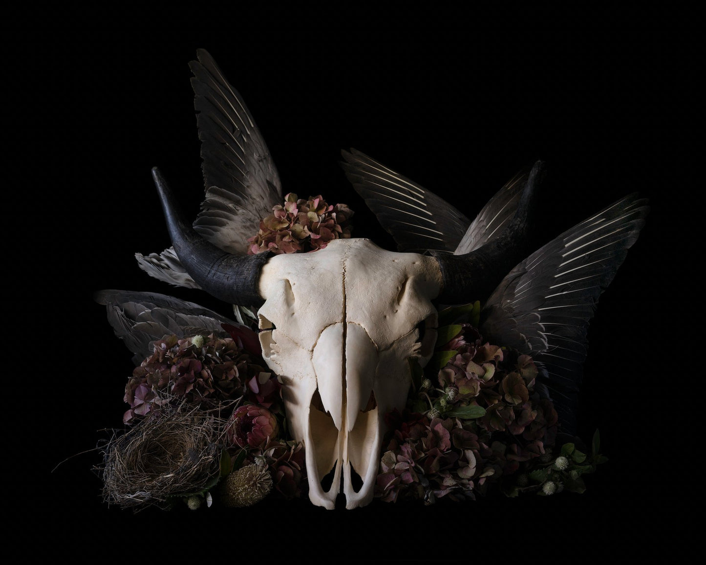 { Untitled 72 } Veneration of Light Limited Print - Loved To Death