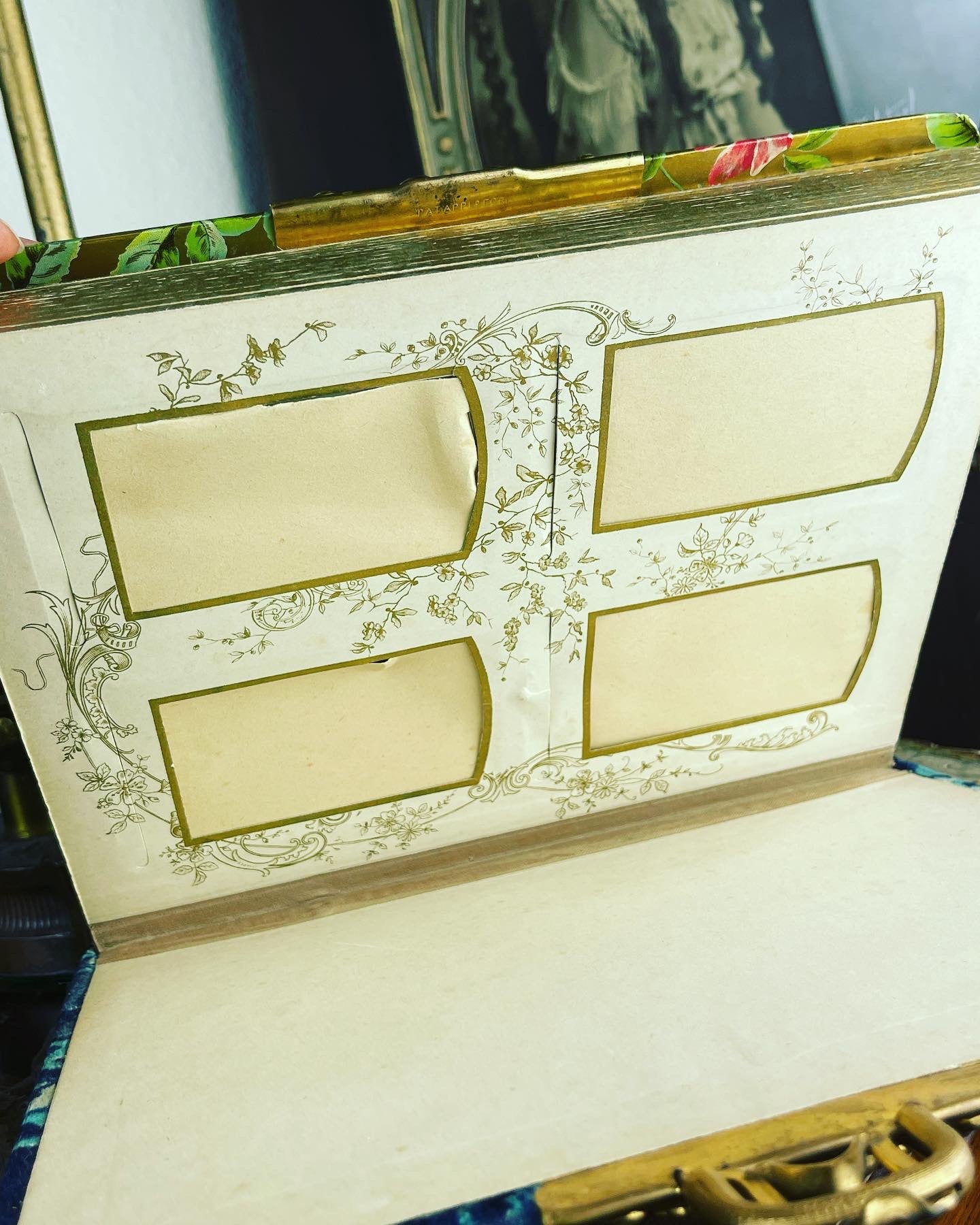 Victorian Celluloid & Velvet Nouveau Woman Photo Album Pristine - Loved To Death