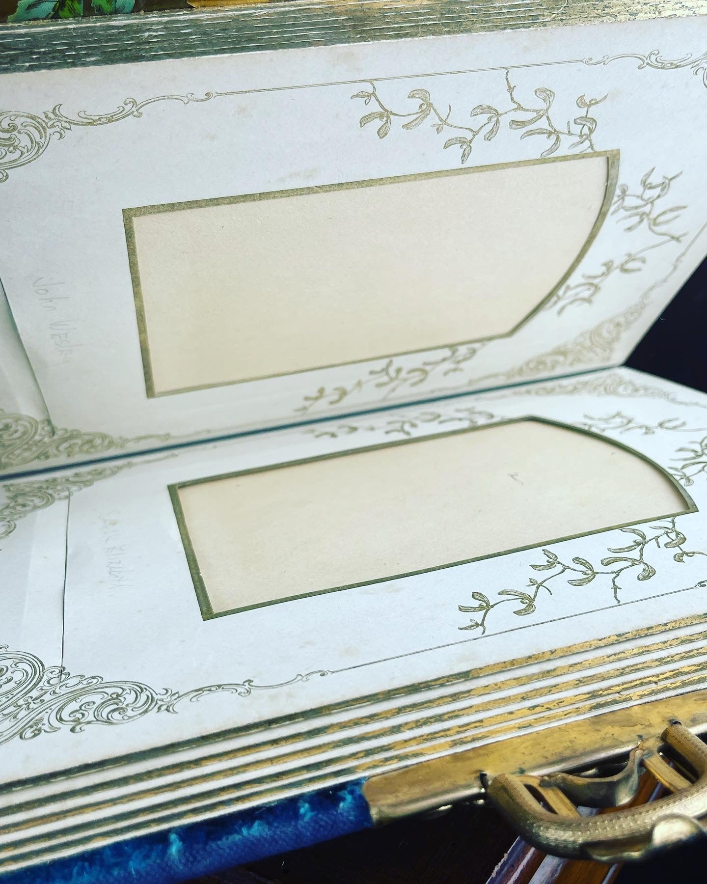 Victorian Celluloid & Velvet Nouveau Woman Photo Album Pristine - Loved To Death