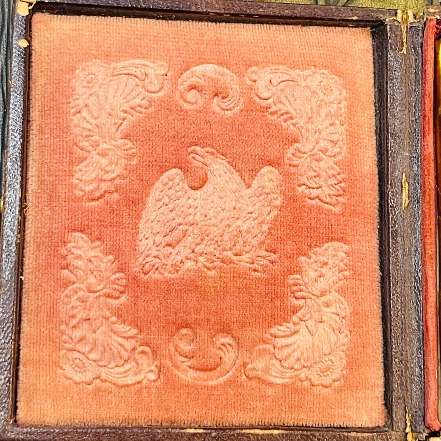 Victorian Framed Bearded Man In Eagle Velvet Case - Loved To Death