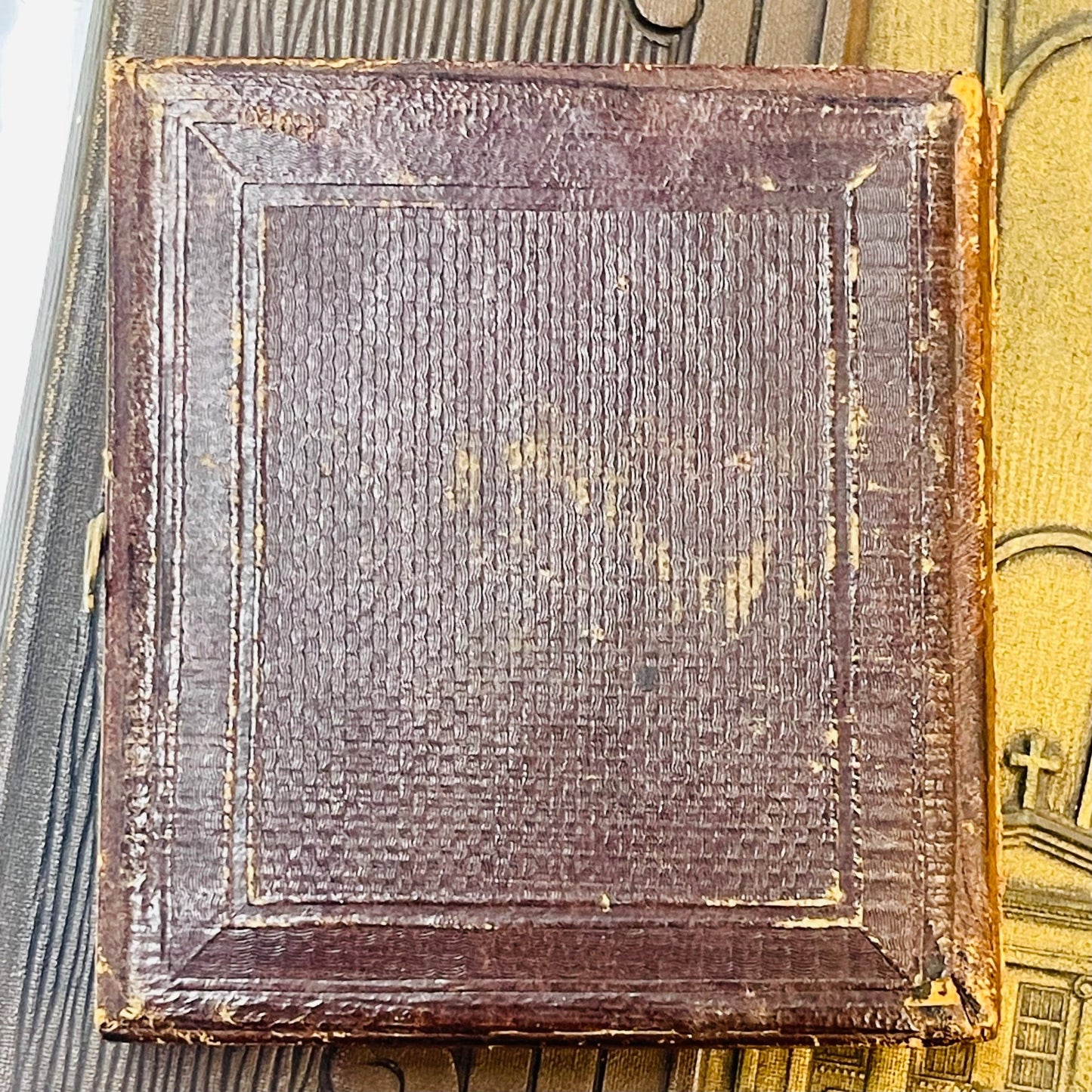 Victorian Framed Bearded Man In Eagle Velvet Case - Loved To Death