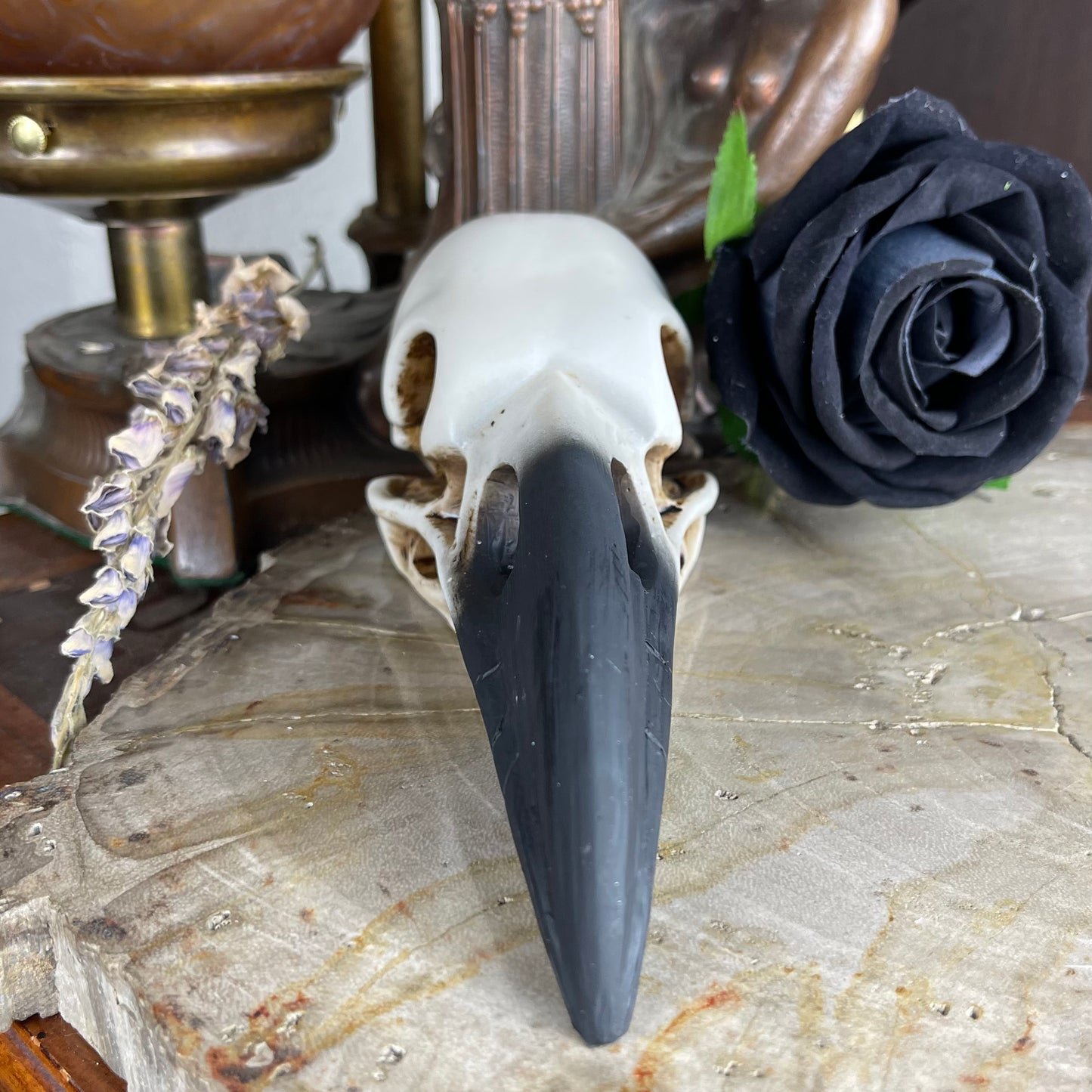 Raven Skull Resin