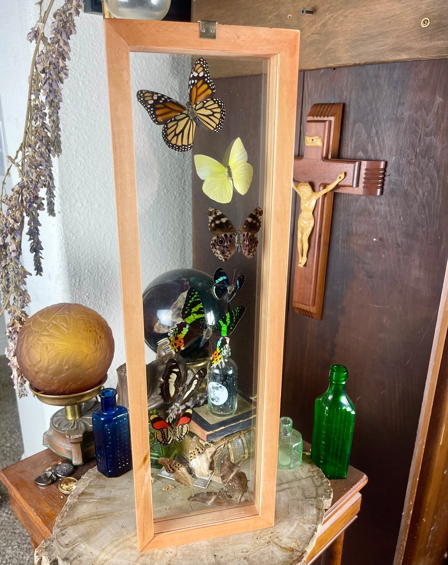 Nine Butterflies Framed In Double Glass Natural Wood Frame
