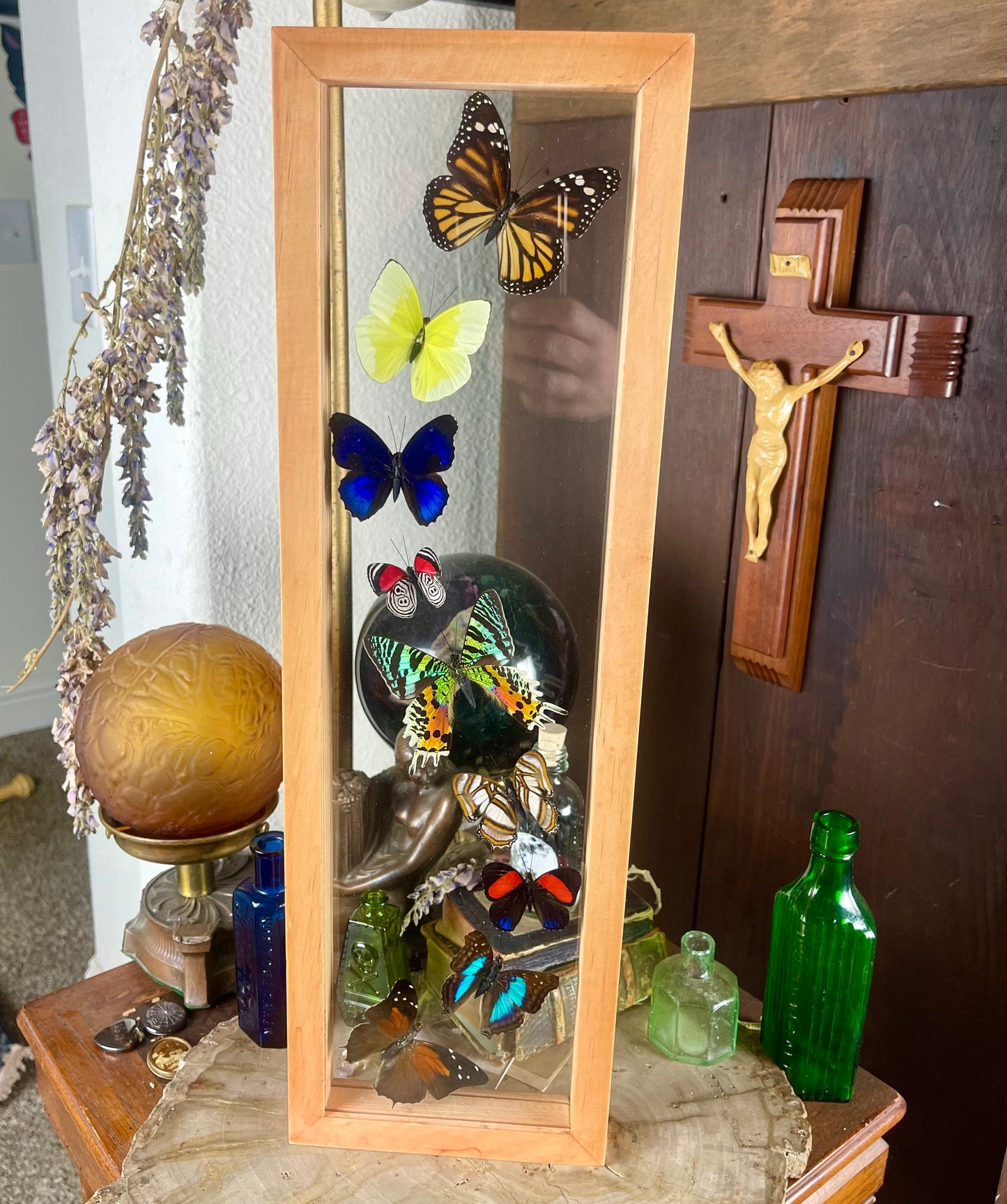 Nine Butterflies Framed In Double Glass Natural Wood Frame