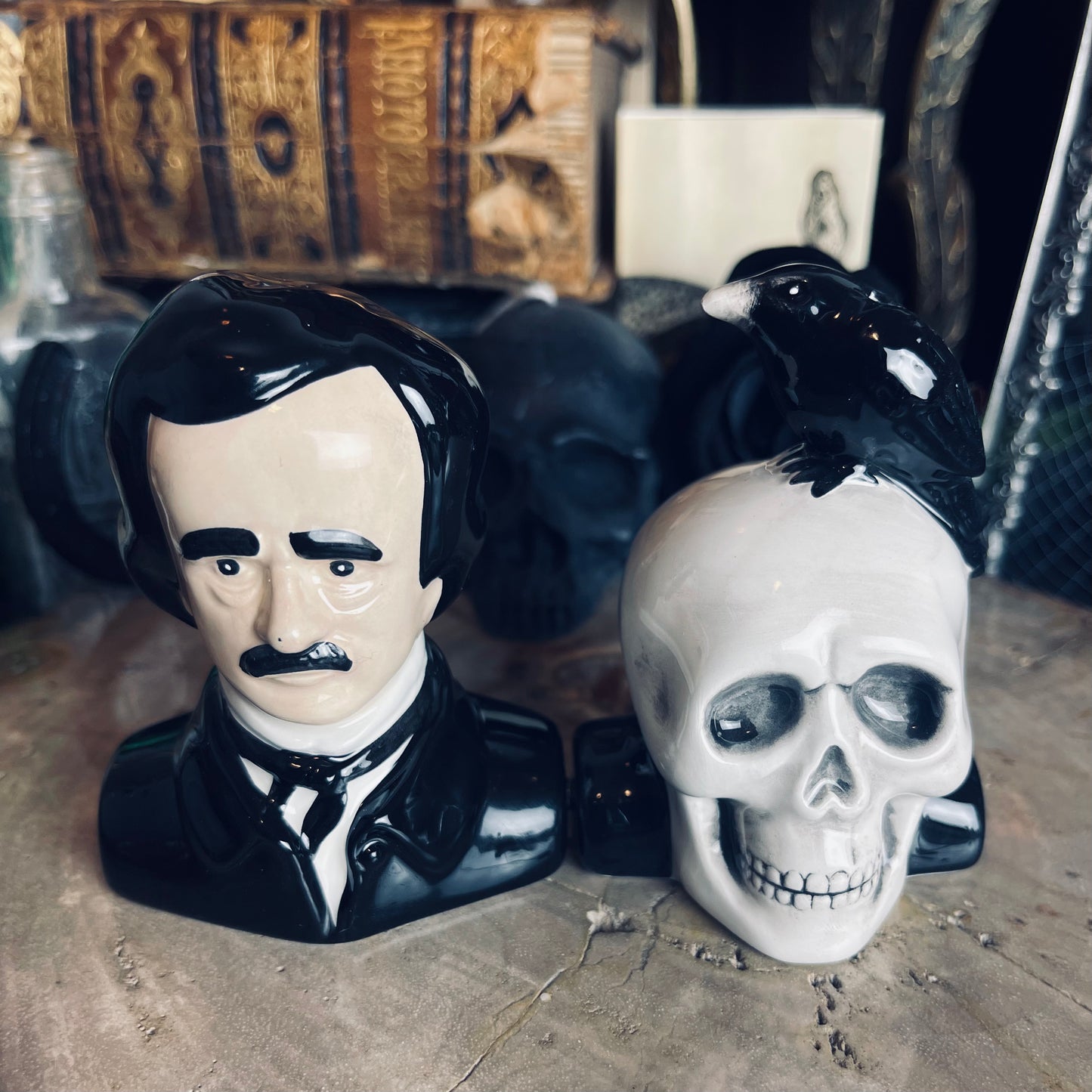 Poe & Raven on Skull Salt & Pepper Set