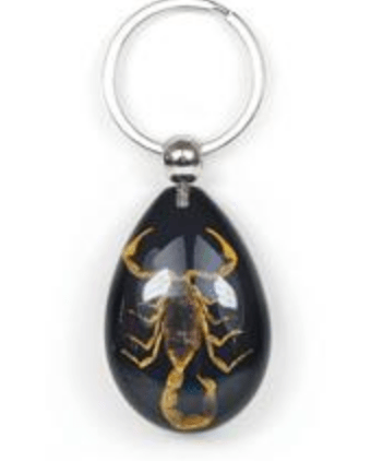 Scorpion on Black Drop Lucite Keychain - Loved To Death