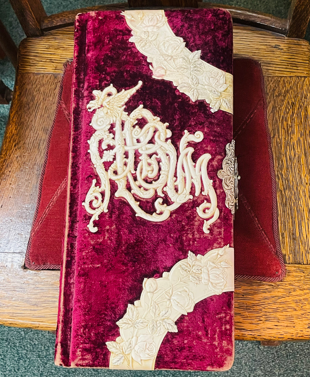 Victorian Velvet Celluloid Dragon Photo Album Excellent