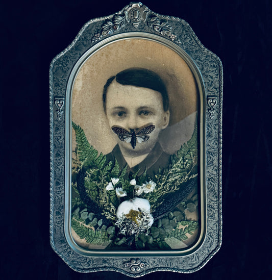 Veiled Curiosities { Dorian } Cicada Marbled Convex Glass Frame