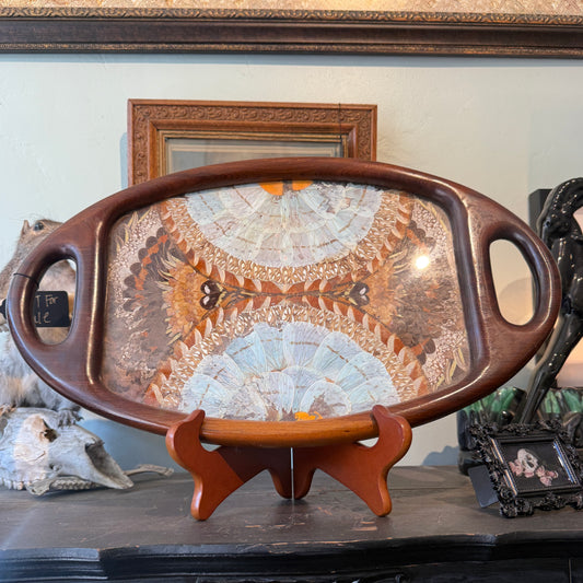 Antique Butterfly Wing Art Tray Oval Wood