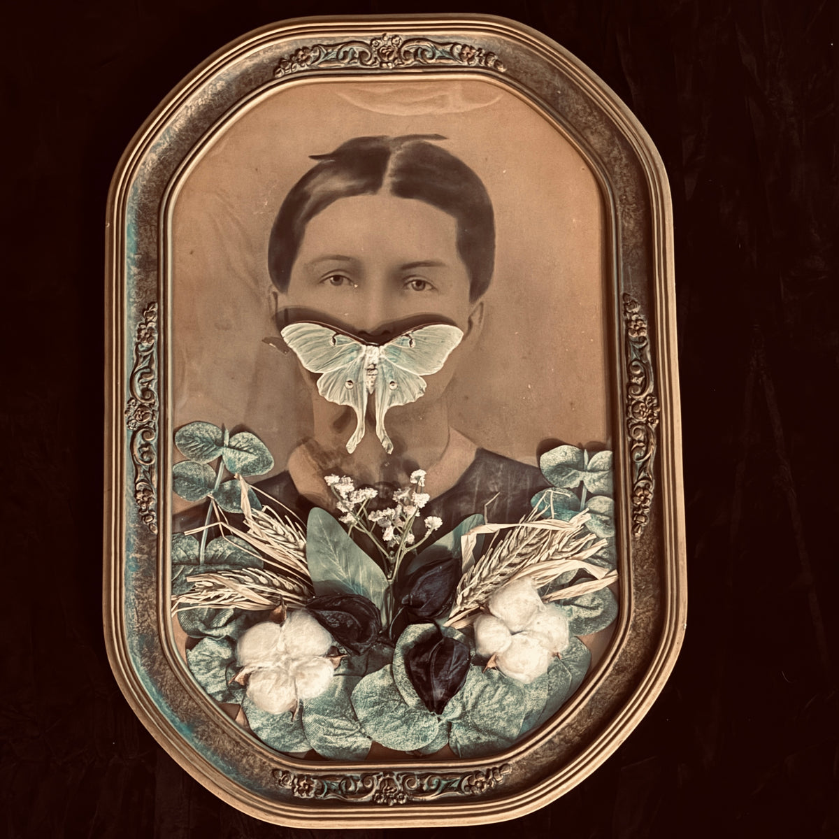 Veiled Curiosities { Adelaide } Gold Floral Frame Luna Moth