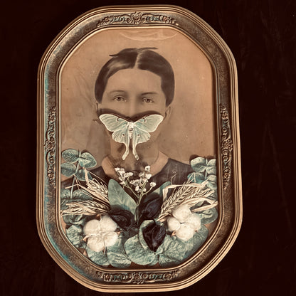 Veiled Curiosities { Adelaide } Gold Floral Frame Luna Moth