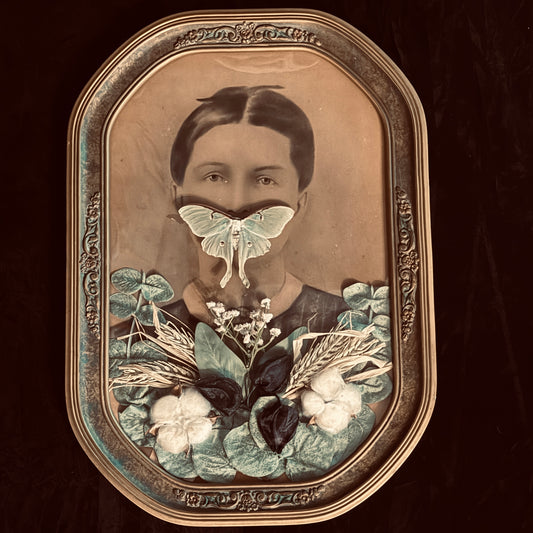 Veiled Curiosities { Adelaide } Gold Floral Frame Luna Moth