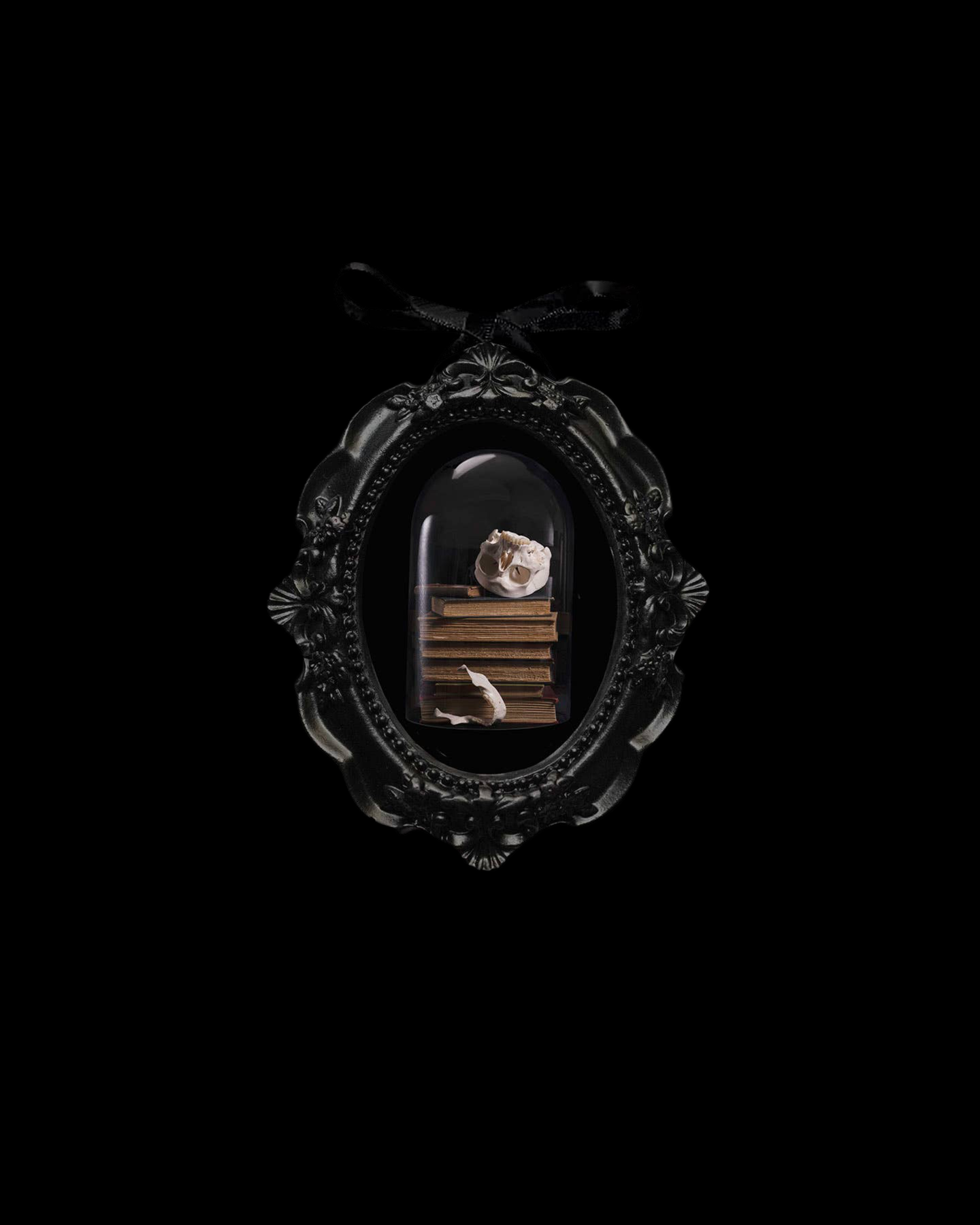 Enlightenment - Ornament