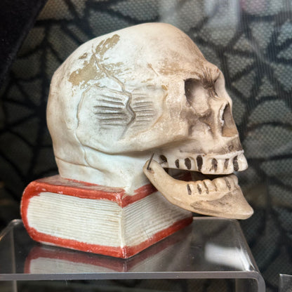 Antique 1930’s Bisque Skull on Book Nodder Candleholder