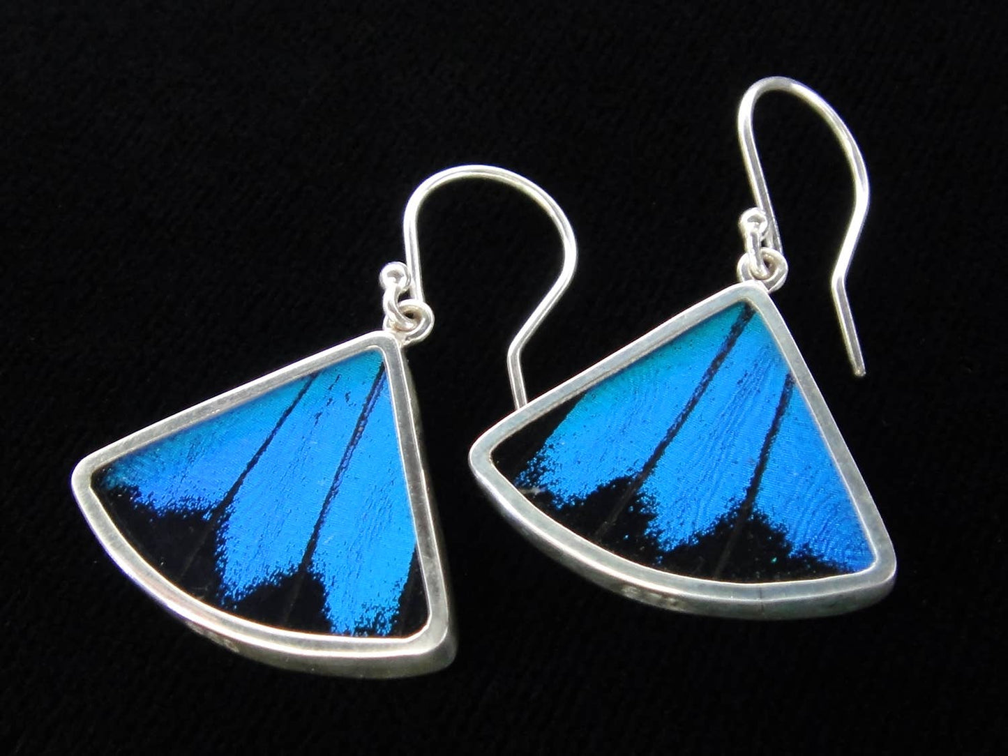 "Blue & Black" Butterfly Fan Sterling Earrings