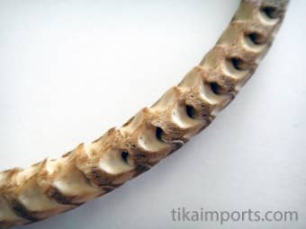 Snake Vertebrae Choker