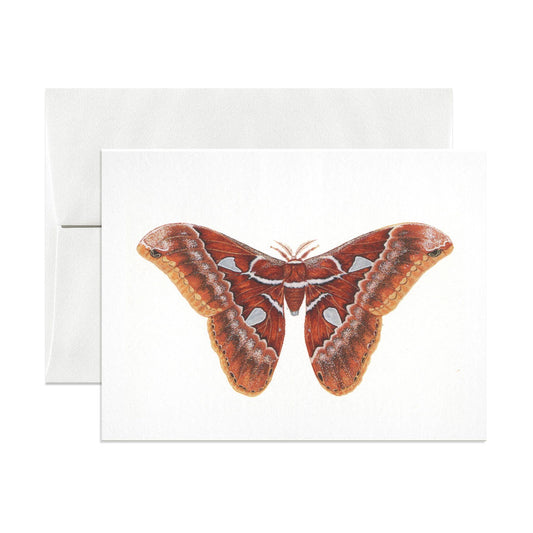 Orizaba Silkmoth Greeting Card