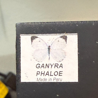 Framed Single Butterfly Ganyra Phaloe