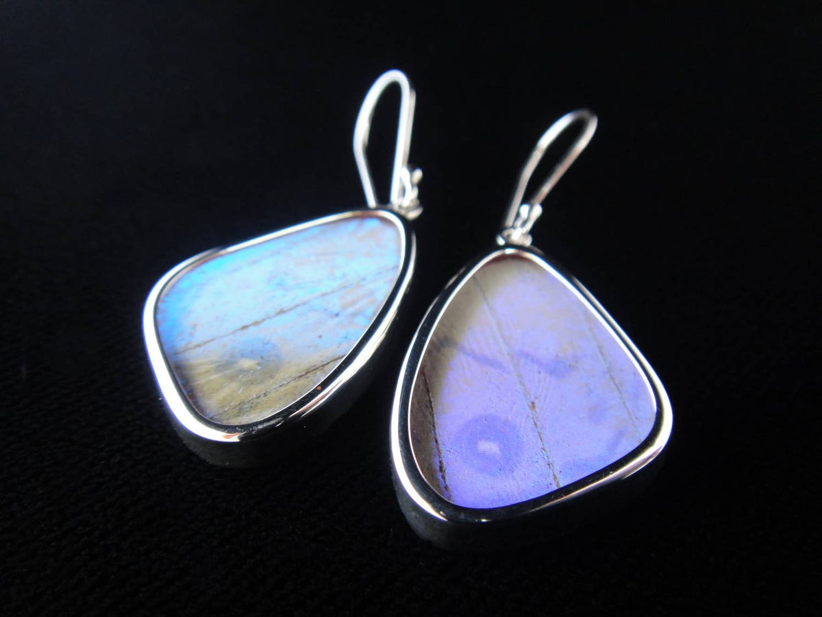 Shimmerwings "Pearl Blue" Sulkowski Butterfly Small Earrings