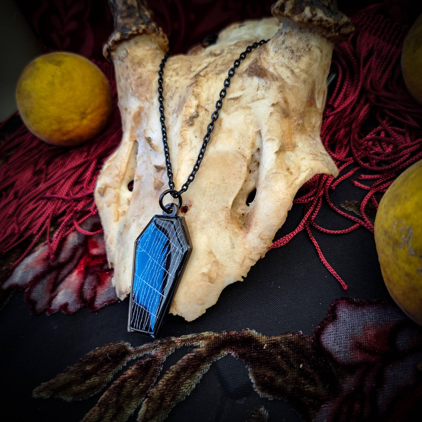 Real Spiderweb Coffin Black Necklace