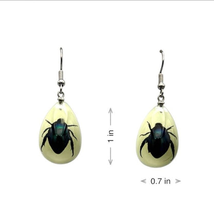 Shining Leaf Beetle Lucite Earrings Glow In The Dark