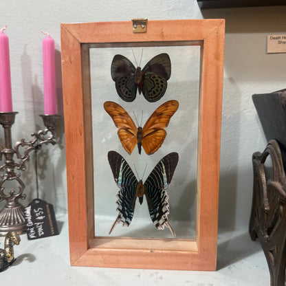 3 Butterfies In Double Glass Frame Natural