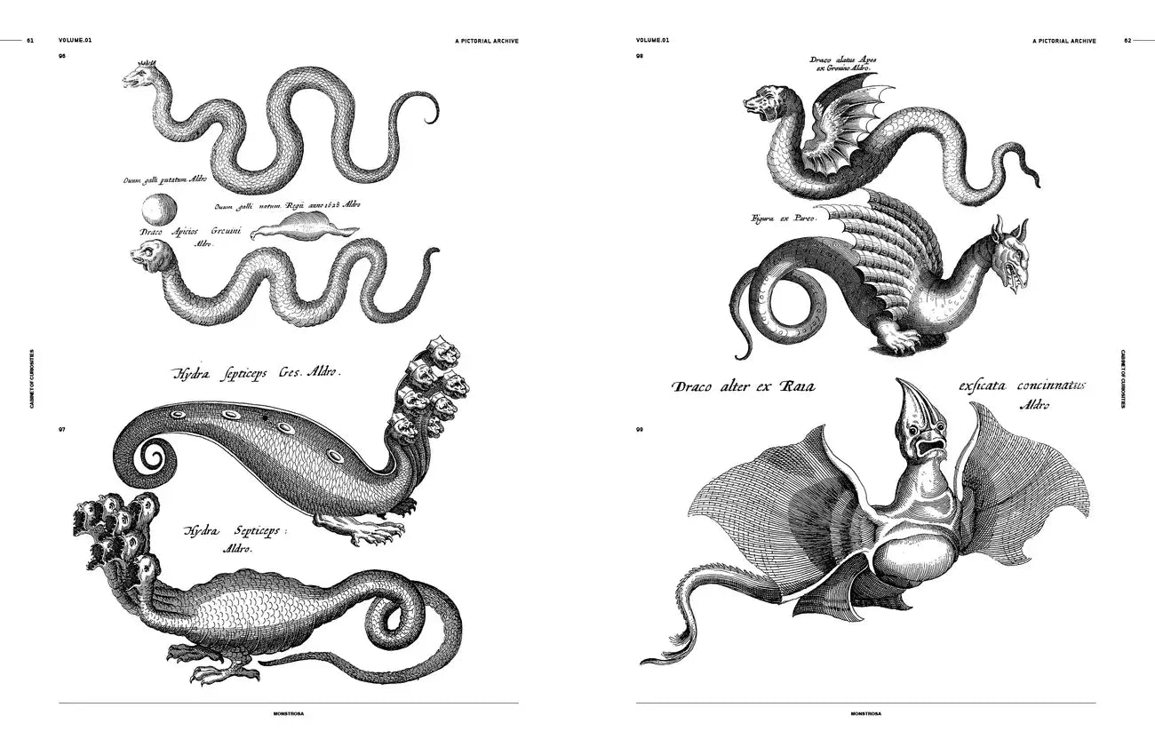 Cabinet of Curiosities: An Image Archive