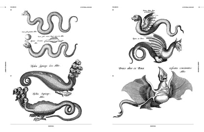 Cabinet of Curiosities: An Image Archive