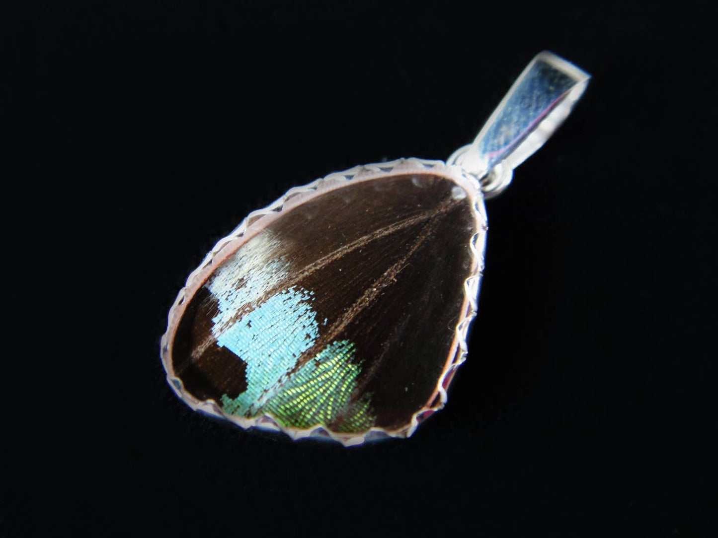 Sterling Silver "Sunset Moth" Tiny Butterfly Pendant