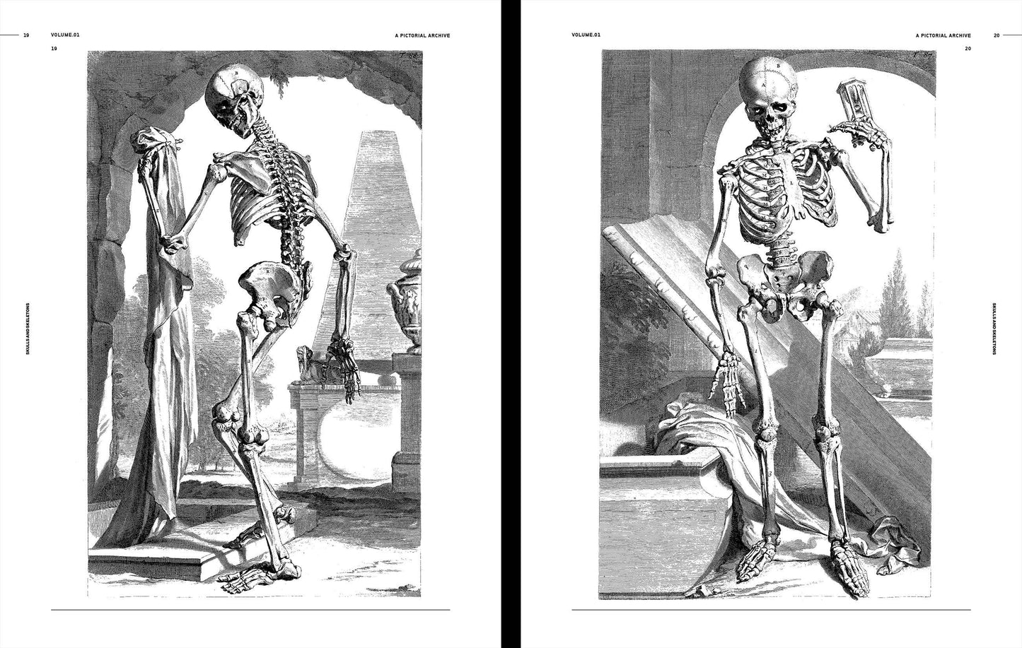Skulls & Skeletons, an Image Archive for Artists & Designers