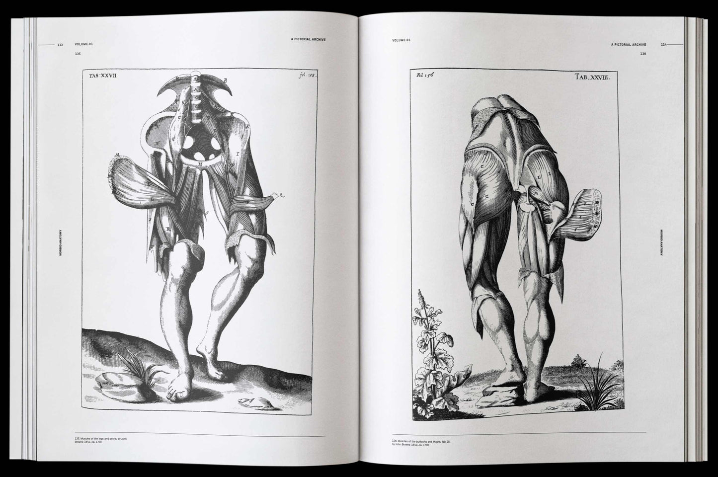 Morbid Anatomy, an Image Archive for Artists and Designers