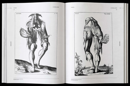 Morbid Anatomy, an Image Archive for Artists and Designers