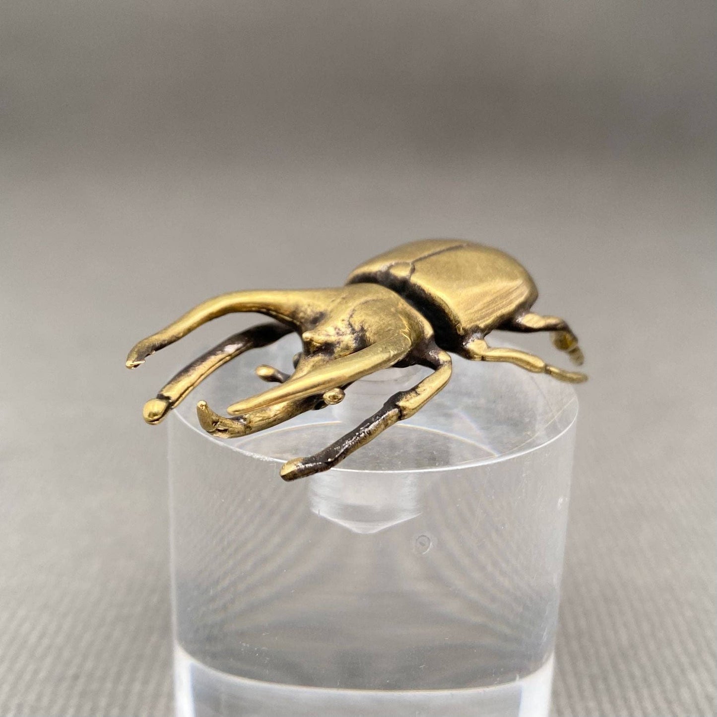 Brass Rhinoceros Beetle Figurine