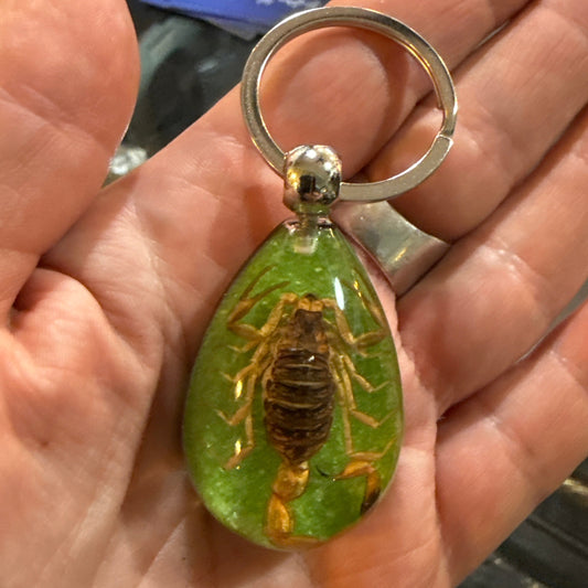 Scorpion on Green Drop Lucite Keychain