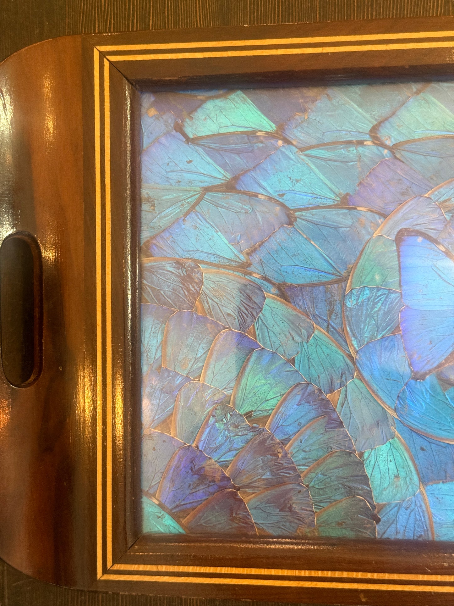 Antique Blue Morpho Butterfly Wing Art Tray Wood