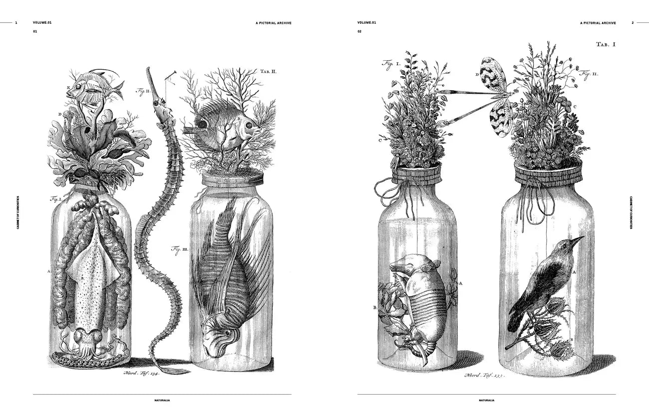Cabinet of Curiosities: An Image Archive