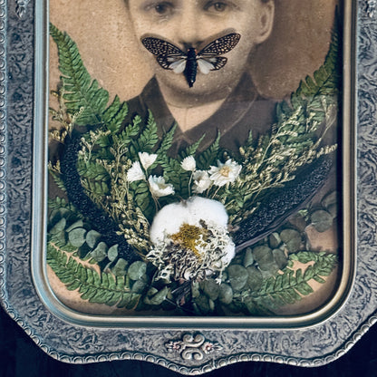 Veiled Curiosities { Dorian } Cicada Marbled Convex Glass Frame