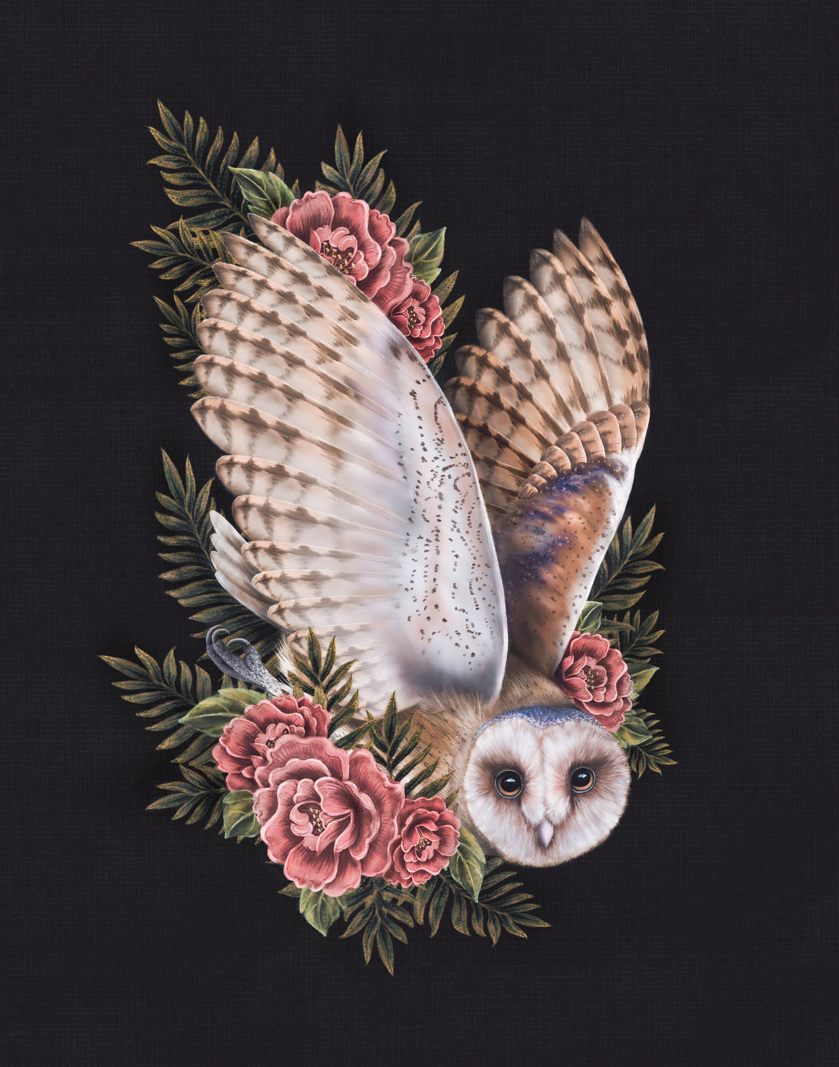 Barn Owl & Peonies Fine Art Print