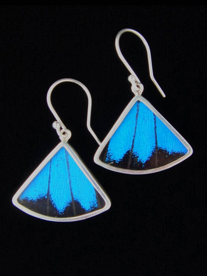 "Blue & Black" Butterfly Fan Sterling Earrings