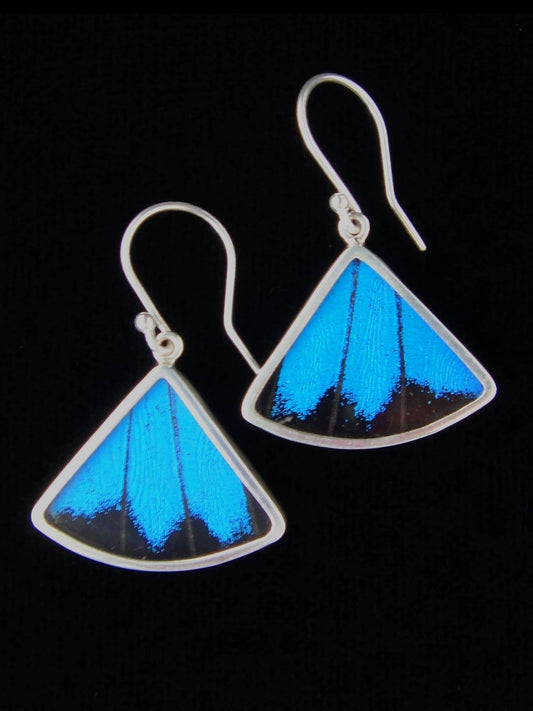"Blue & Black" Butterfly Fan Sterling Earrings