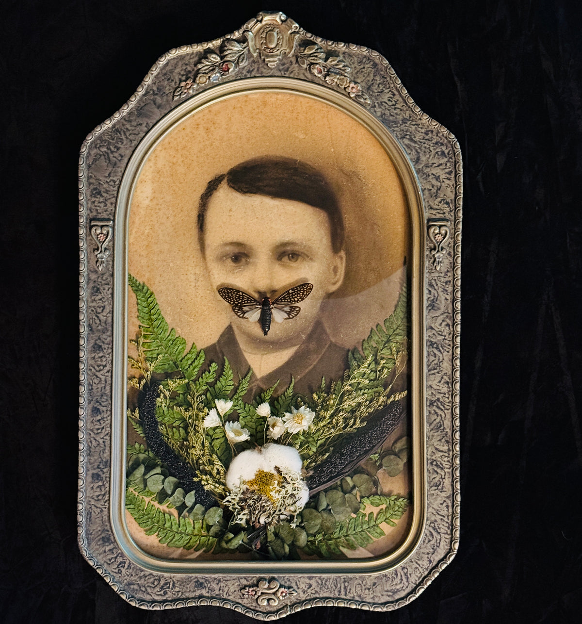 Veiled Curiosities { Dorian } Cicada Marbled Convex Glass Frame