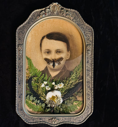 Veiled Curiosities { Dorian } Cicada Marbled Convex Glass Frame