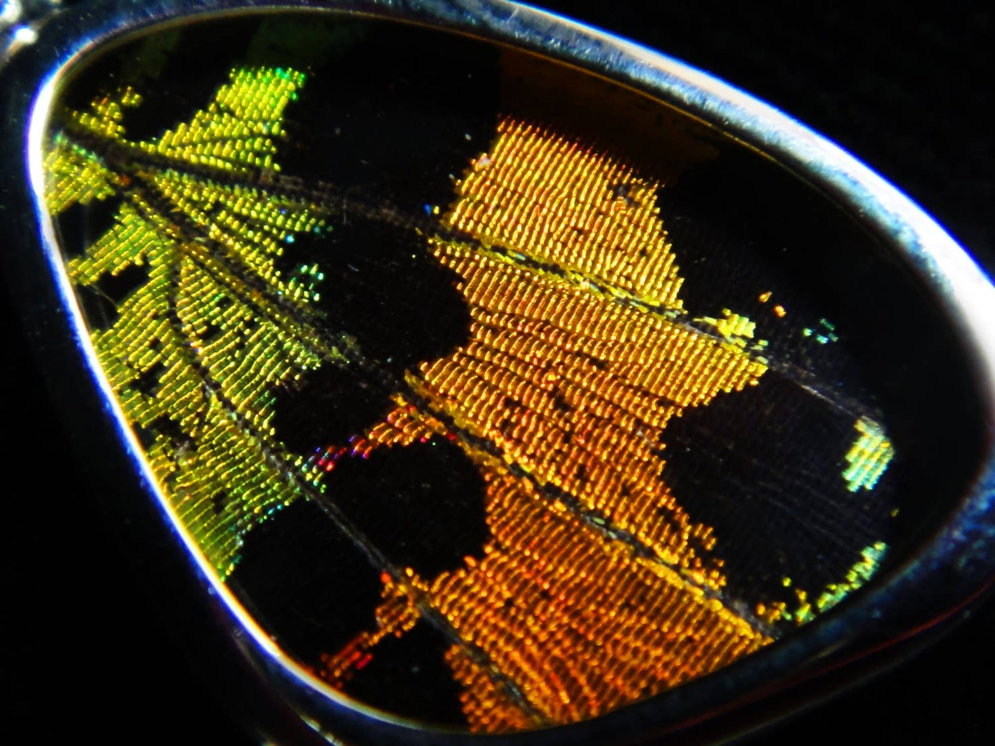 Sterling Silver "Sunset Moth" Tiny Butterfly Pendant