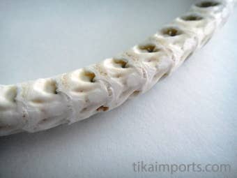 Snake Vertebrae Choker