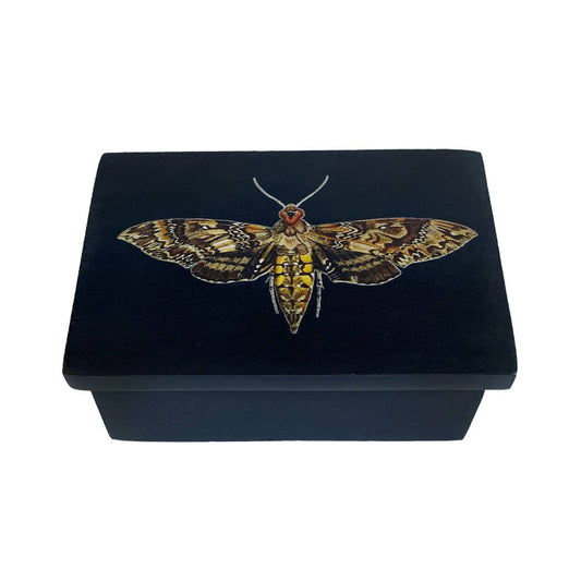 3" Hawk Moth Black Soap Stone Trinket - Jewelry Box - Loved To Death
