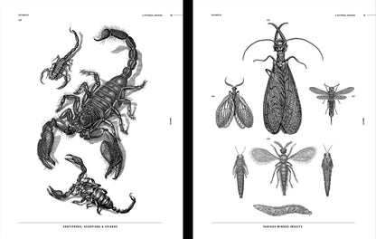 Insects Reference Book, an Image Archive